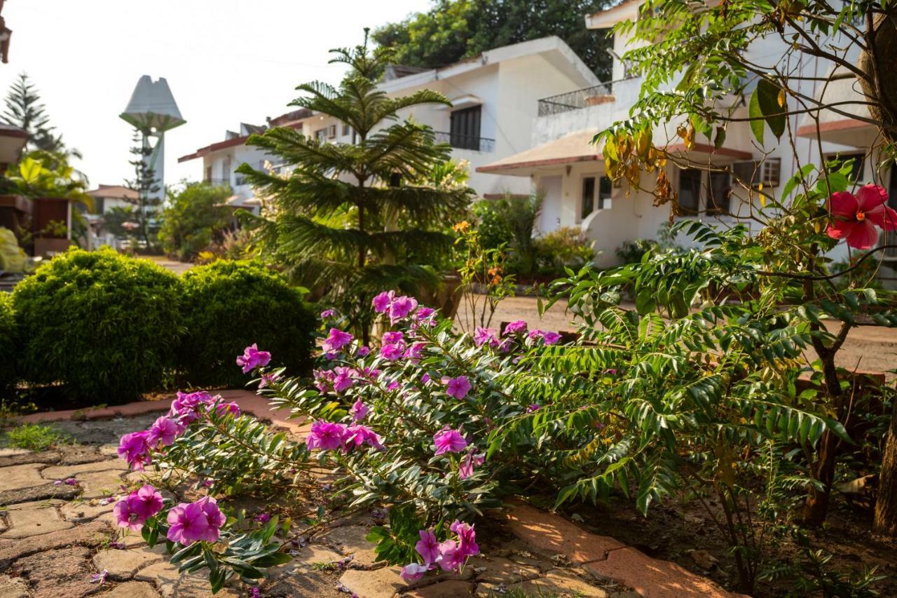 Aspirealconvilla-2Bhk-Beachtouch-แคนโดลิม ภายนอก รูปภาพ